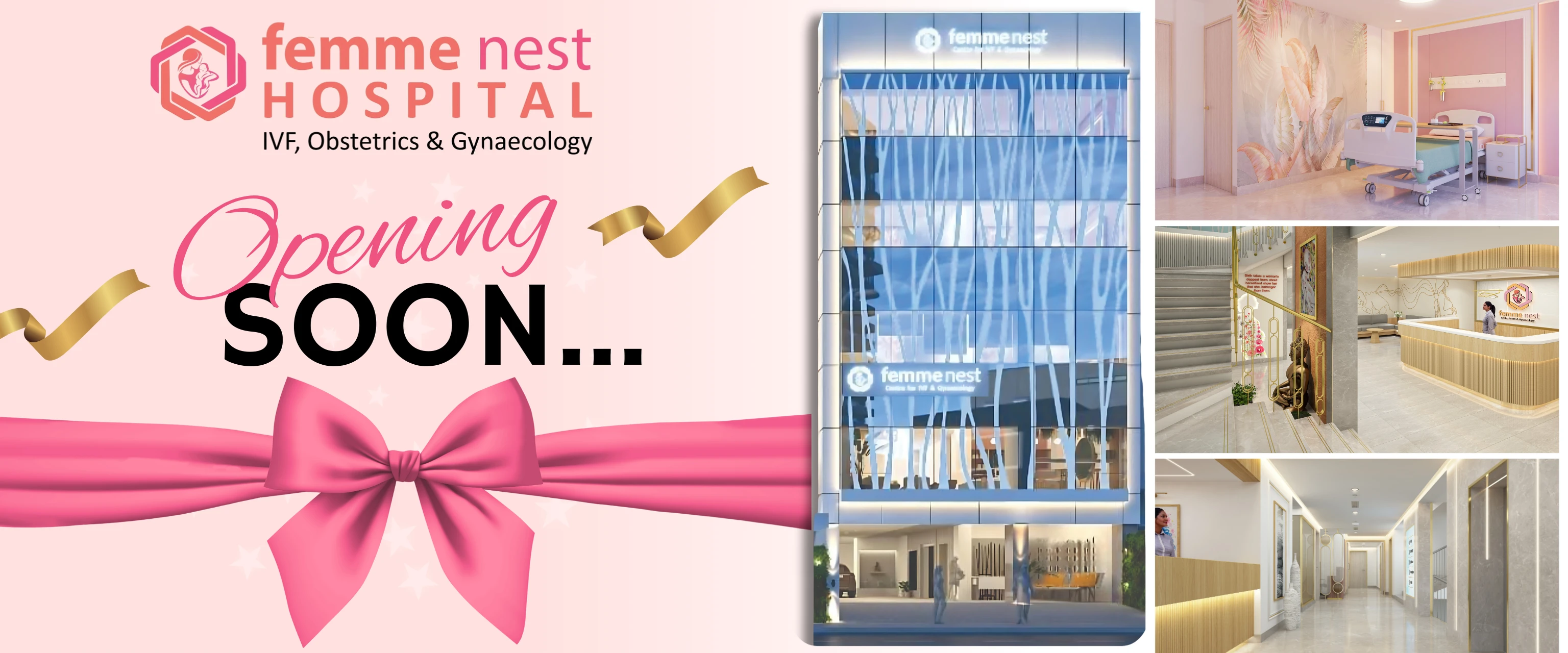 Ivf banner femmenest