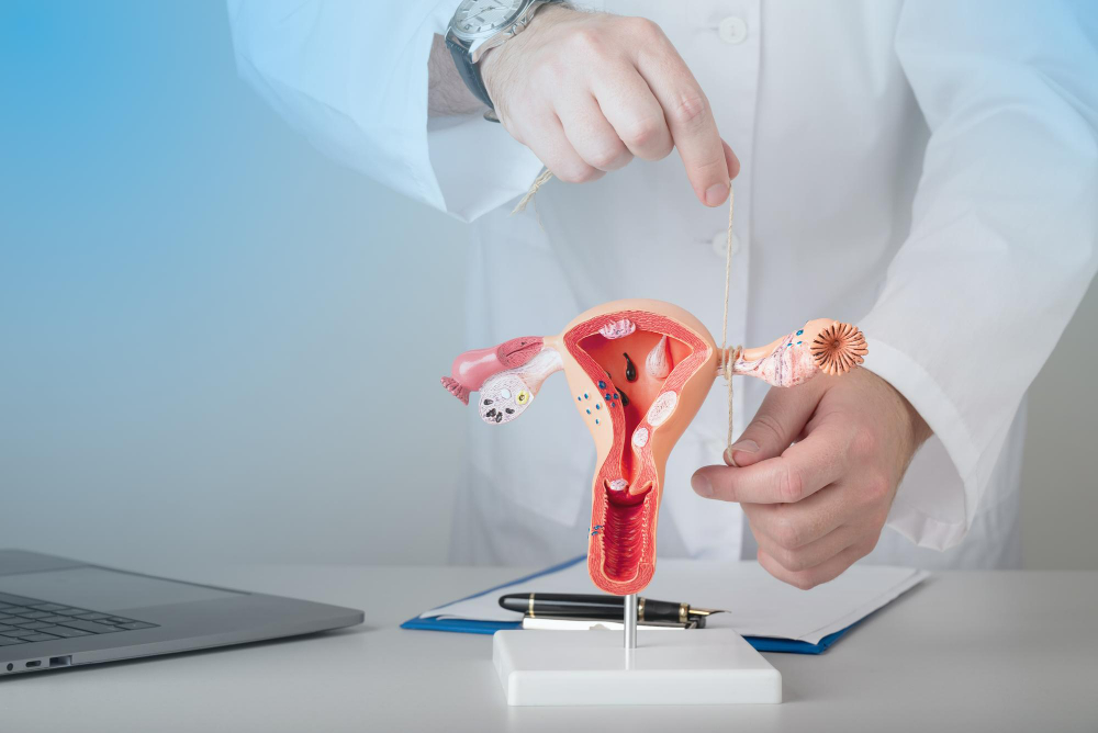 IUI Procedure: Dispelling Myths About Pain & Understanding the Process