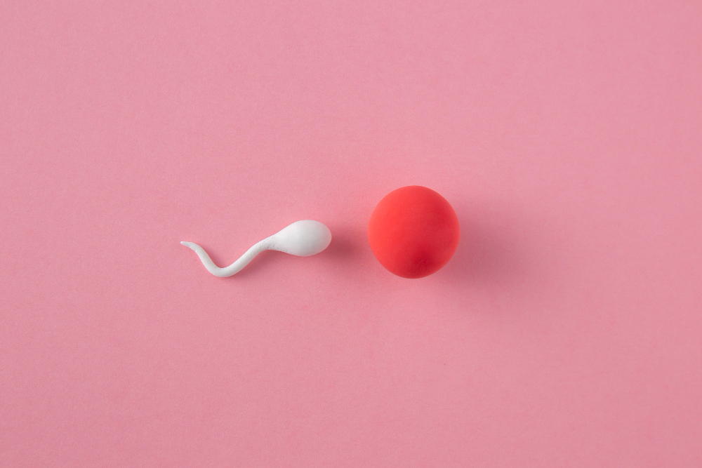 Zero Sperm Count Solutions & Male Infertility Care in Delhi